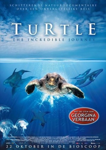 Turtle - The incredible journey