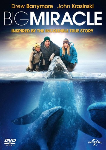 Big Miracle