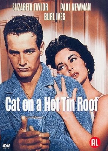 Cat on a Hot Tin Roof