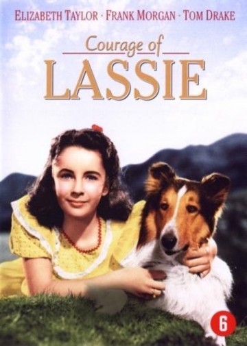 Courage Of Lassie