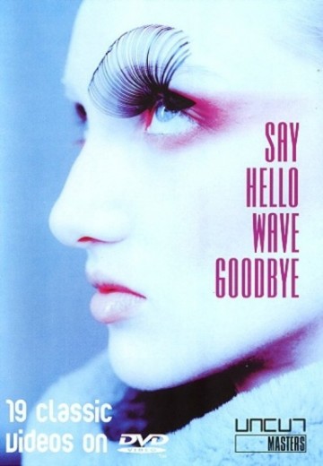 Say Hello Wave Goodbye