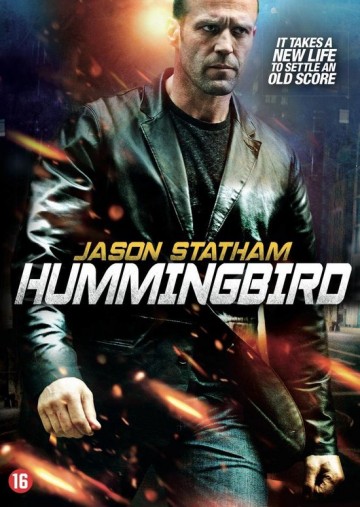 Hummingbird