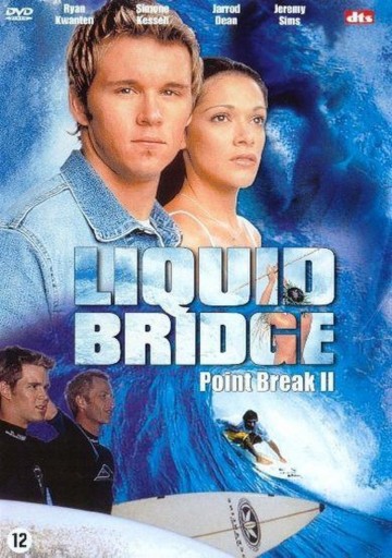 Liquid Bridge
