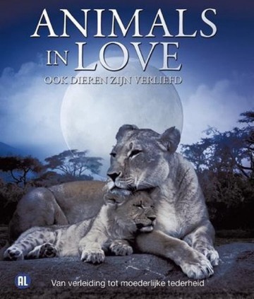Animals In Love