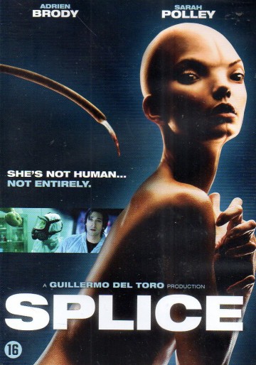 Splice