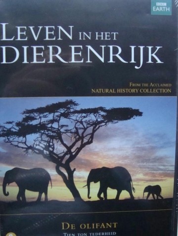 Special Interest - Bbc Earth: De Olifant