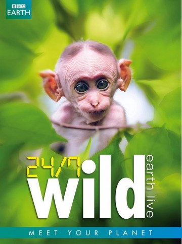BBC Earth - 24/7 Wild