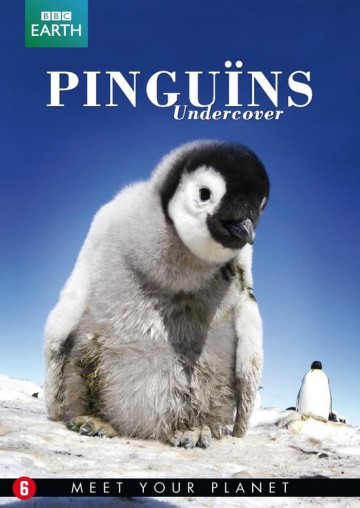 Pinguins Undercover