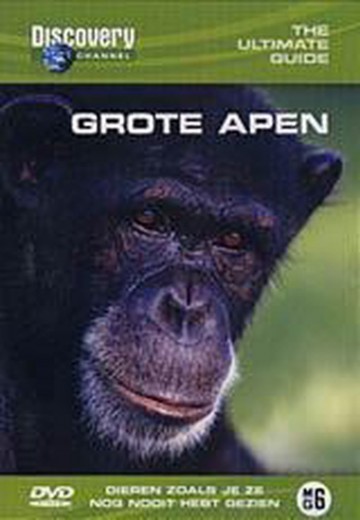 Grote Apen