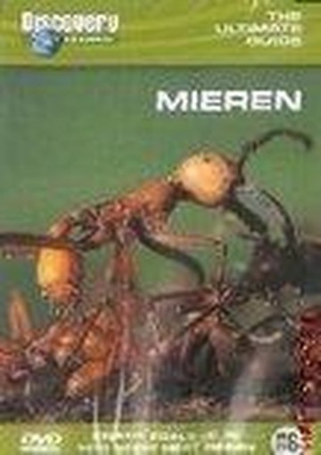 Mieren