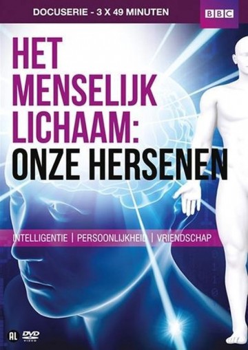 Menselijk Lichaam - Onze Hersenen