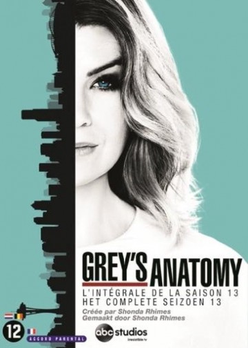Grey's Anatomy - Seizoen 13
