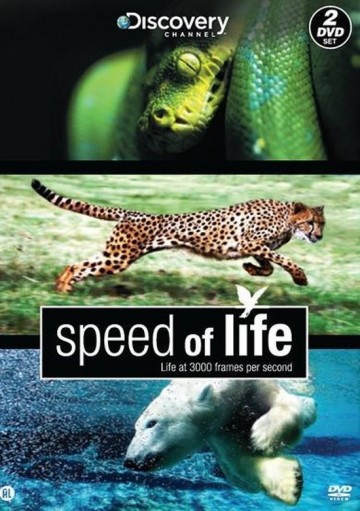 Speed Of Life