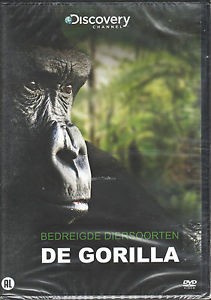 Bedreigde Diersoorten - De Gorilla