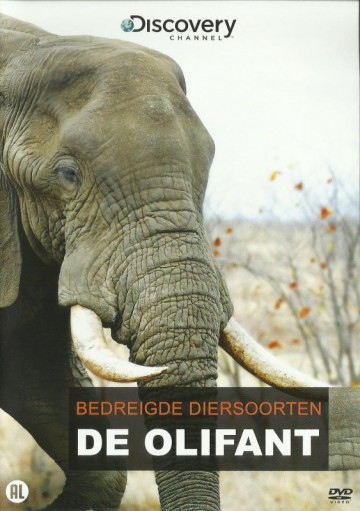 Bedreigde Diersoorten - De Olifant