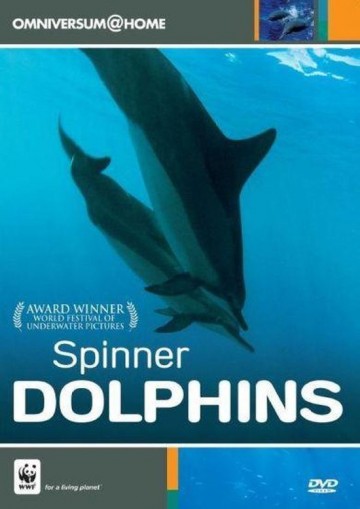 Spinner Dolphins