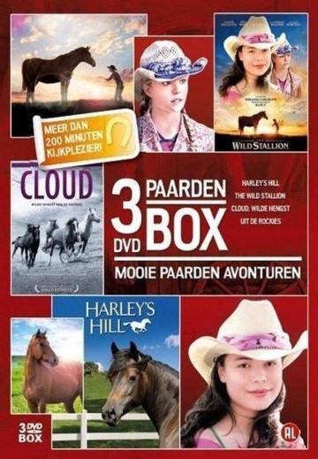 Paarden Box
