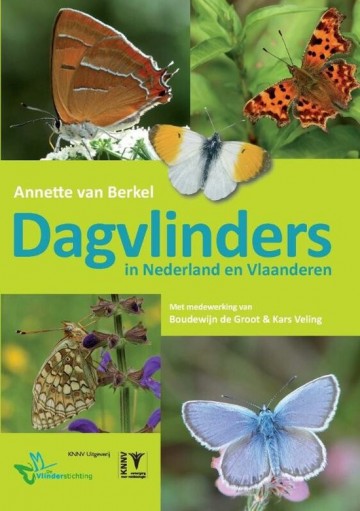 Dagvlinders In Nederland En Vlaanderen
