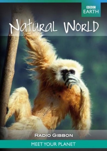 Natural World - Radio Gibbon