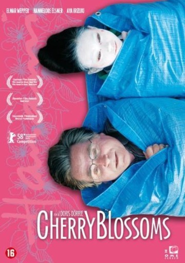 Cherry Blossoms
