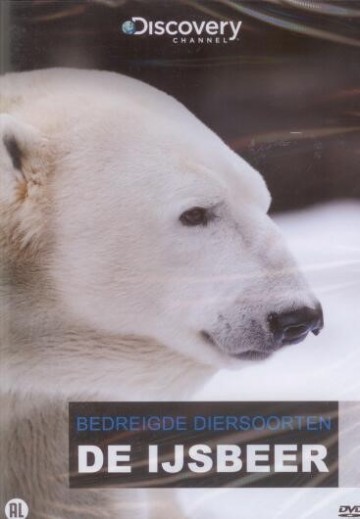 Bedreigde Diersoorten - De IJsbeer