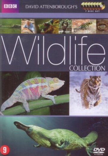 Wildlife Collection